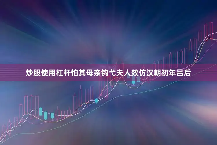 炒股使用杠杆怕其母亲钩弋夫人效仿汉朝初年吕后