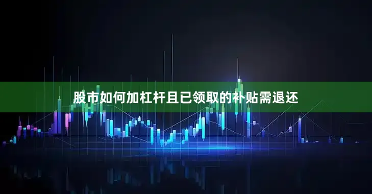 股市如何加杠杆且已领取的补贴需退还