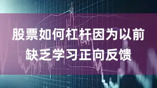 股票如何杠杆因为以前缺乏学习正向反馈