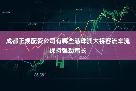 成都正规配资公司有哪些港珠澳大桥客流车流保持强劲增长